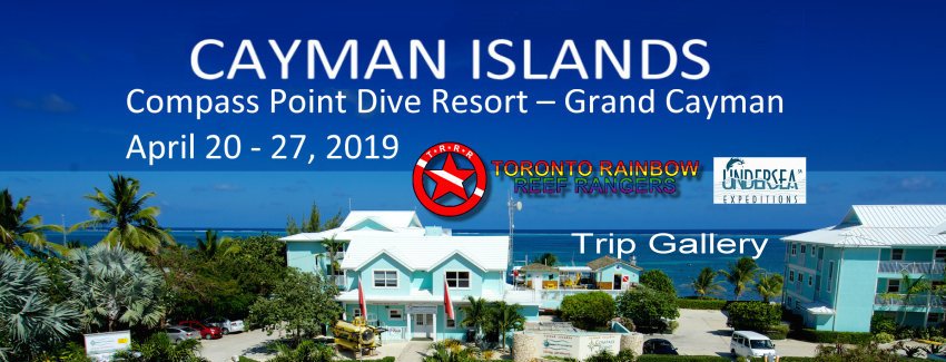 Grand Cayman Island 2019 Trip Gallery